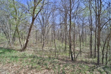 If you are looking for a quiet place to build your cabin or new - photo 5