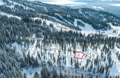 Lake Lot For Sale in Mccall, Idaho