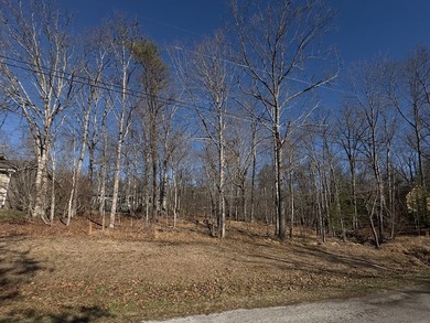 Looking for the perfect place to build your new home? Look no - photo 3