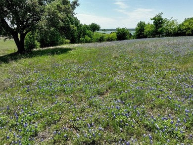 Desirable lake front homesite in the resort! This White Bluff - photo 8