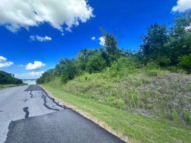 Two Lots at Richland Chambers Lake combine for 4.4 acres! - photo 16