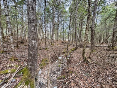 If you've been searching for an affordable piece of Maine land - photo 11