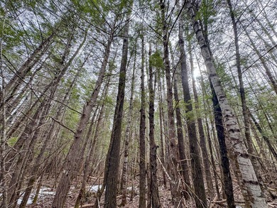 If you've been searching for an affordable piece of Maine land - photo 12
