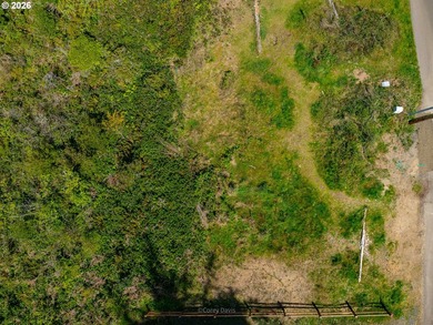 Absolutely iconic location and site. Views of Manzanita beach - photo 12