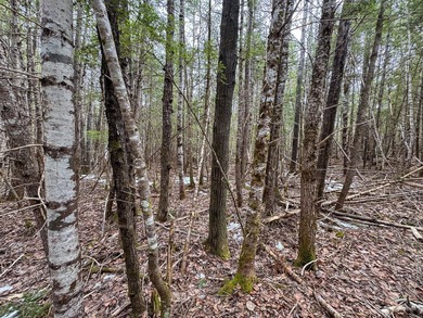 If you've been searching for an affordable piece of Maine land - photo 13