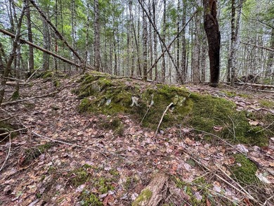If you've been searching for an affordable piece of Maine land - photo 14