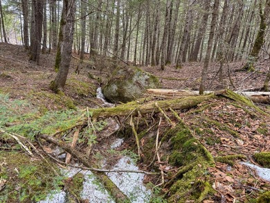 If you've been searching for an affordable piece of Maine land - photo 16