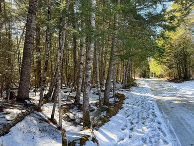 If you've been searching for an affordable piece of Maine land - photo 18