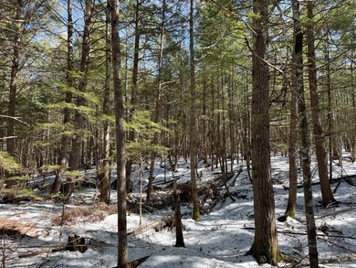 If you've been searching for an affordable piece of Maine land - photo 20