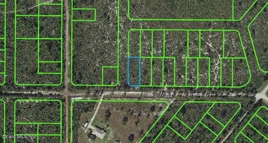 Lake Istokpoga Lot For Sale in Lake Placid Florida