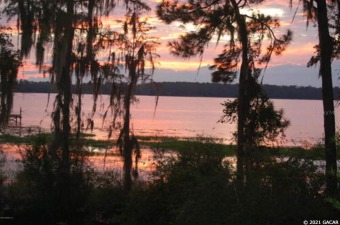 Lake Crosby Acreage For Sale in Starke Florida
