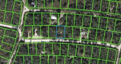 Lake Grassy Lot For Sale in Lake Placid Florida