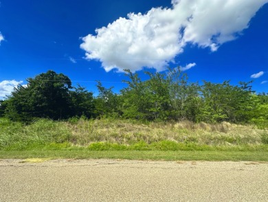 Two Lots at Richland Chambers Lake combine for 4.4 acres! - photo 14