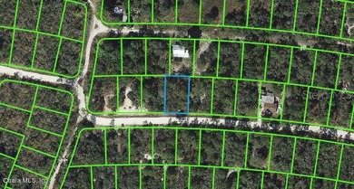Lake Grassy Lot For Sale in Lake Placid Florida