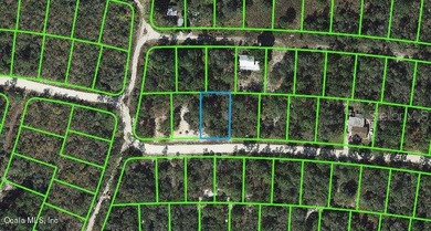 Lake Grassy Lot For Sale in Lake Placid Florida