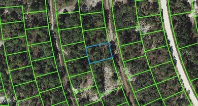 Lake Grassy Lot For Sale in Lake Placid Florida