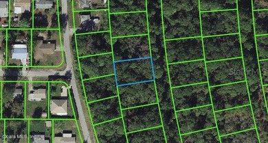 Lake Grassy Lot For Sale in Lake Placid Florida
