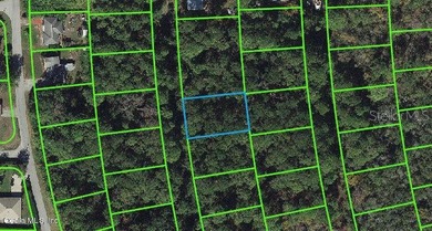Lake Grassy Lot For Sale in Lake Placid Florida