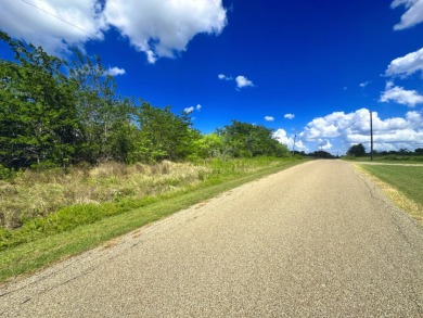 Two Lots at Richland Chambers Lake combine for 4.4 acres! - photo 15