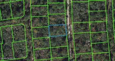 Lake Grassy Lot For Sale in Lake Placid Florida