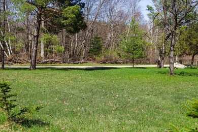 Build your dream getaway here! Scenic lake lot on Packers Bay of - photo 14
