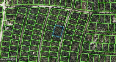 Lake Grassy Lot For Sale in Lake Placid Florida