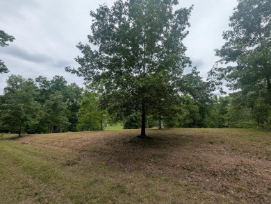 Lake Lot For Sale in Cadiz, Kentucky