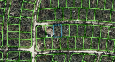 Lake Grassy Lot For Sale in Lake Placid Florida