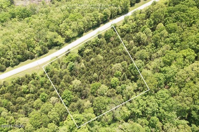 Lake Acreage For Sale in Cape Fair, Missouri