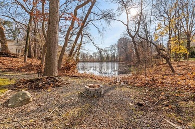 Set on just shy of a one-acre parcel, backing directly onto Lake - photo 37