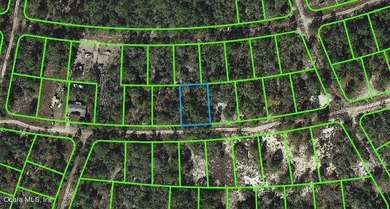 Lake Grassy Lot For Sale in Lake Placid Florida