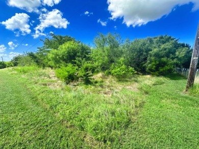 Two Lots at Richland Chambers Lake combine for 4.4 acres! - photo 3
