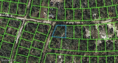 Lake Grassy Lot For Sale in Lake Placid Florida