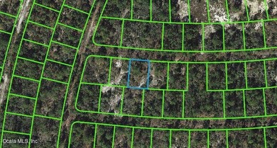 Lake Grassy Lot For Sale in Lake Placid Florida