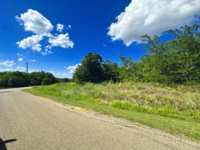 Two Lots at Richland Chambers Lake combine for 4.4 acres! - photo 13