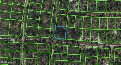 Lake Grassy Lot For Sale in Lake Placid Florida