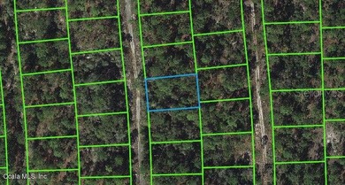 Lake Grassy Lot For Sale in Lake Placid Florida