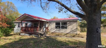(private lake, pond, creek) Home For Sale in Johnston City Illinois