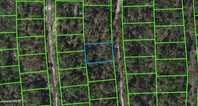 Lake Grassy Lot For Sale in Lake Placid Florida