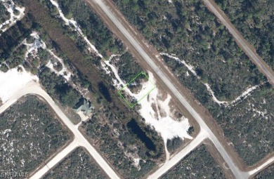 (private lake, pond, creek) Lot For Sale in Lake Placid Florida