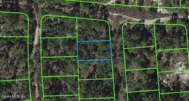 Lake Grassy Lot For Sale in Lake Placid Florida