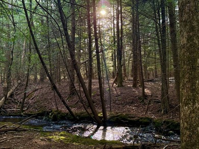 Located in the Town of Wawarsing, this 23.1-acre property offers - photo 11