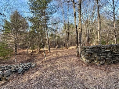 Located in the Town of Wawarsing, this 23.1-acre property offers - photo 15