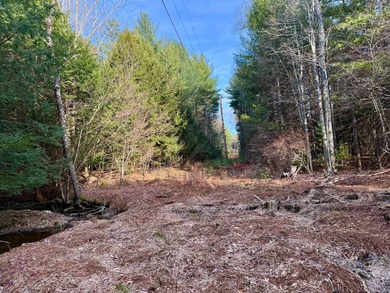 Located in the Town of Wawarsing, this 23.1-acre property offers - photo 17