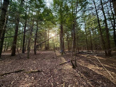 Located in the Town of Wawarsing, this 23.1-acre property offers - photo 19