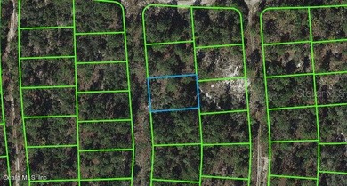 Lake Grassy Lot For Sale in Lake Placid Florida