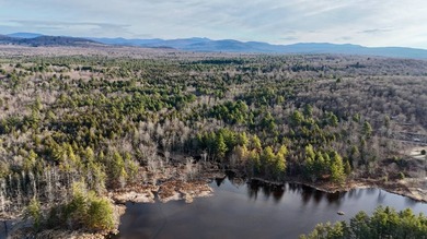 Located in the Town of Wawarsing, this 23.1-acre property offers - photo 29