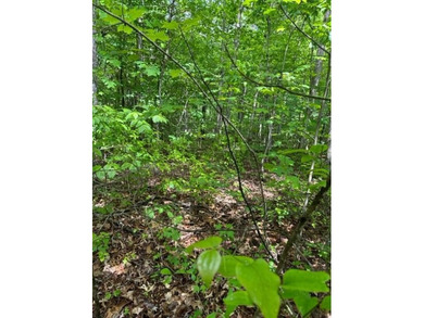 (private lake, pond, creek) Acreage For Sale in Wilder Tennessee