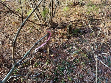 Located in the Town of Wawarsing, this 23.1-acre property offers - photo 32
