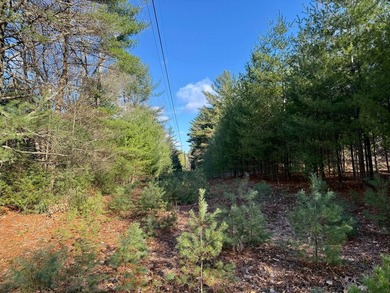 Located in the Town of Wawarsing, this 23.1-acre property offers - photo 33